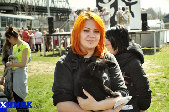 В Полоцке раздавали друзей человека (фото)