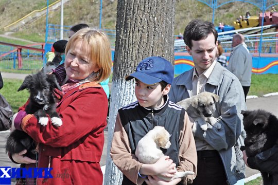 В Полоцке раздавали друзей человека (фото)