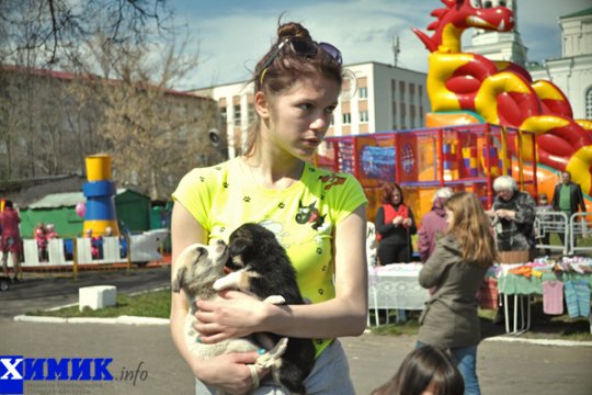 В Полоцке раздавали друзей человека (фото)