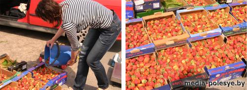 Разгорается клубничный бум в Лунинецком районе. Цена снижается Разгорается клубничный бум в Лунинецком районе. Цена снижается