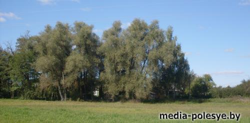 «Не навреди!» - говорят словами медиков защитники природы «Не навреди!» - говорят словами медиков защитники природы