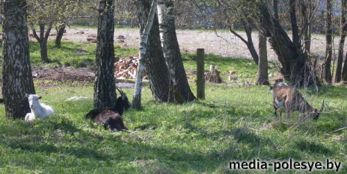 «Не навреди!» - говорят словами медиков защитники природы «Не навреди!» - говорят словами медиков защитники природы
