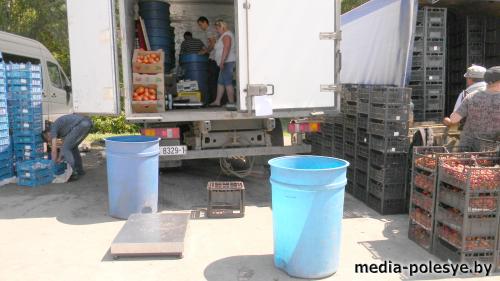 В клубничной столице даже крупную ягоду принимают по три тысячи