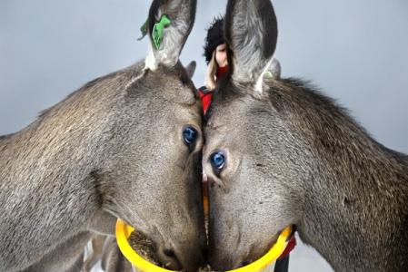 Вернисаж «Гарантируется атмосфера доброжелательности. Подляшья» открылся в Пинске