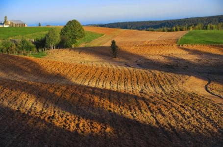 Вернисаж «Гарантируется атмосфера доброжелательности. Подляшья» открылся в Пинске