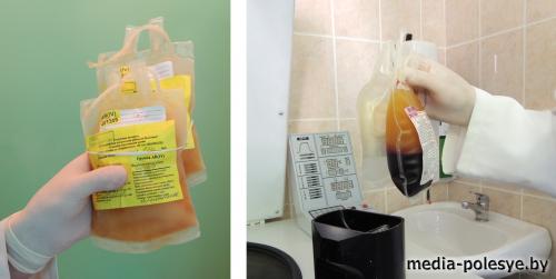 750 литров крови в год заготавливают в отделении переливания крови Столинской райбольницы