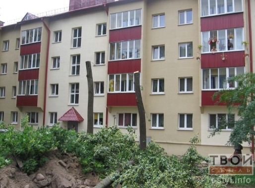 У Гродна зноў знішчаюць дрэвы