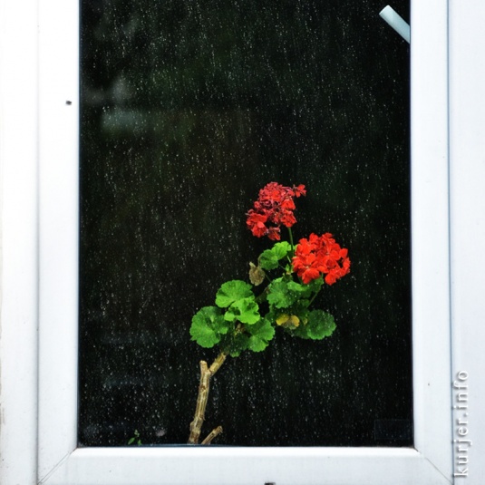 Фотоокна. 4 июня 2013