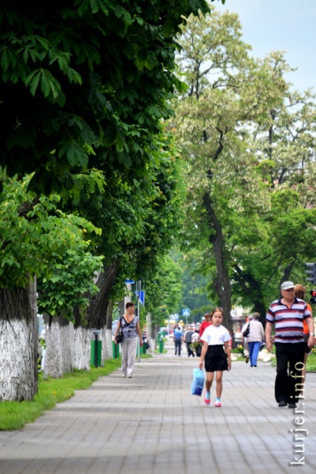 Фотоокна. 4 июня 2013