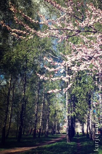 Фотохроника мая-2013. Слуцк