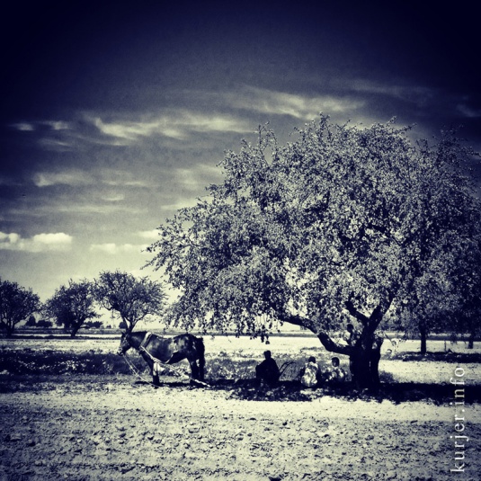 Фотохроника мая-2013. Слуцк