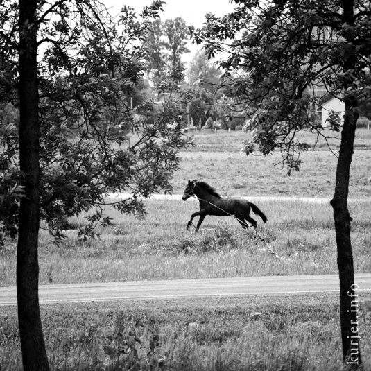 Фотохроника мая-2013. Слуцк