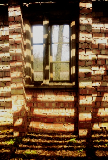 На мир мы смотрим по-другому (+фото)