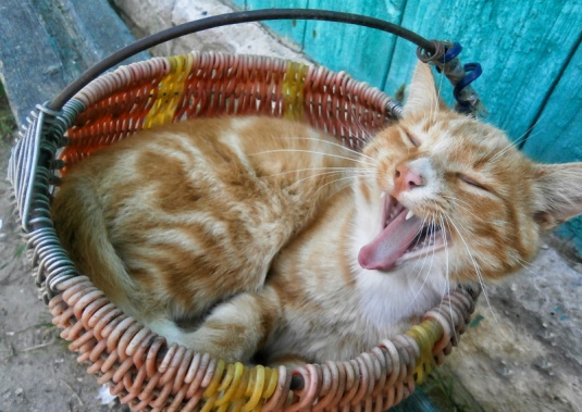 На мир мы смотрим по-другому (+фото)