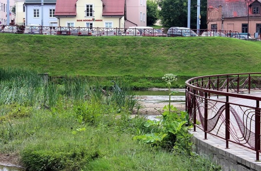 Городничанка постепенно превращает “Швейцарскую долину” в болото