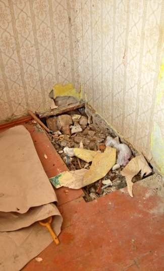 В Бресте многодетной маме предложили арендную квартиру, непригодную для жизни