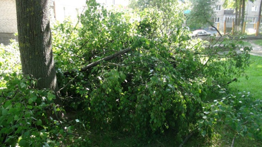 В Гродно взамен благоустройства дворов практикуют “бульдозерную реконструкцию”