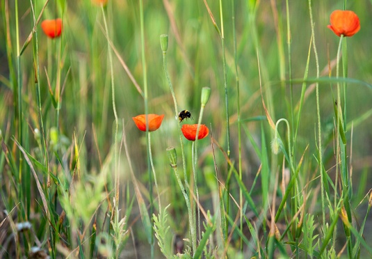 Колумнисты: Привет Волковыск! Доброго дня всем!