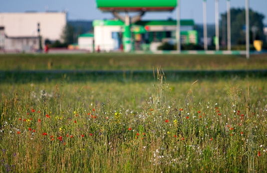 Колумнисты: Привет Волковыск! Доброго дня всем!