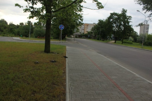 В Гродно в районе железнодорожного вокзала обнаружены десятки мёртвых птиц