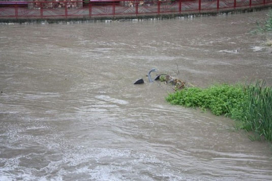 Очередной ливень вновь “проверил” Гродно на прочность