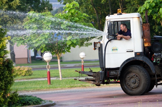 Утренний Волковыск: аист-гурман и садоводы-коммунальщики