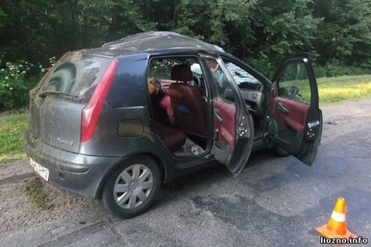 Легковушка столкнулась с лосем, водитель погиб