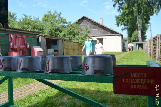 Караульные псы в девятом городке