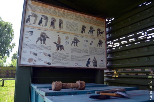 Караульные псы в девятом городке