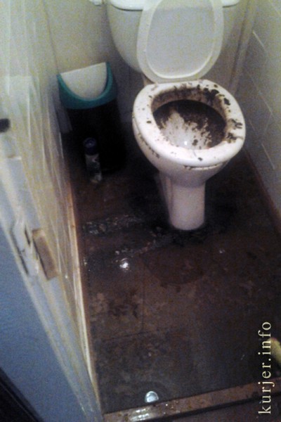 Умеют ли случчане пользоваться унитазами Умеют ли случчане пользоваться унитазами