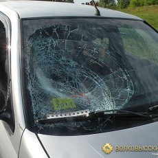 «Аист» попал под колеса «Peugeot 406»