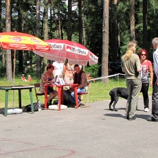 Выставка собак (фото)