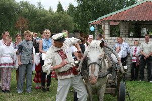 «Властелин села-2013″