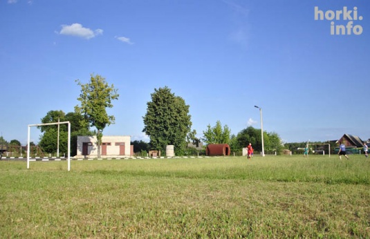 Апошнія футбалісты Дрыбіна