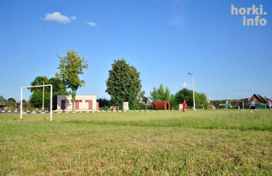 Апошнія футбалісты Дрыбіна