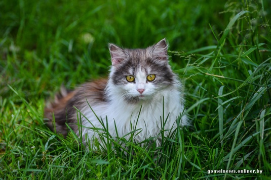 Последние из могикан: история человека, которого однажды расстреляли (фото)