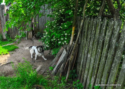 Последние из могикан: история человека, которого однажды расстреляли (фото)