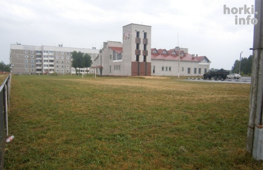 У Дрыбіне на футбольным палі за "пажаркай" скасілі траву