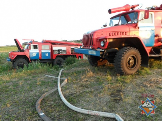 В Хойниках сгорело 20 тонн сена (фото, видео)