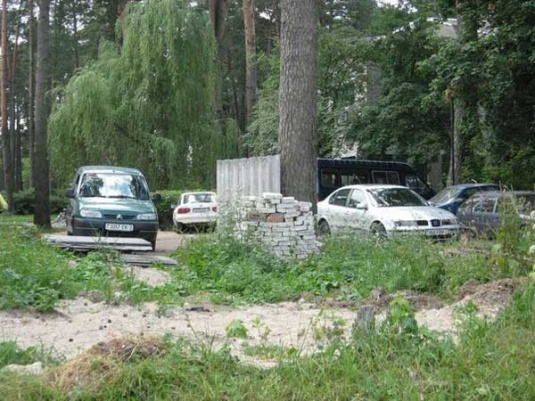 Сосны пад пагрозай (+ фота)