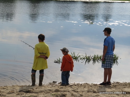 В болотах под Калинковичами внедорожники устроили гонки на выживание (фото)