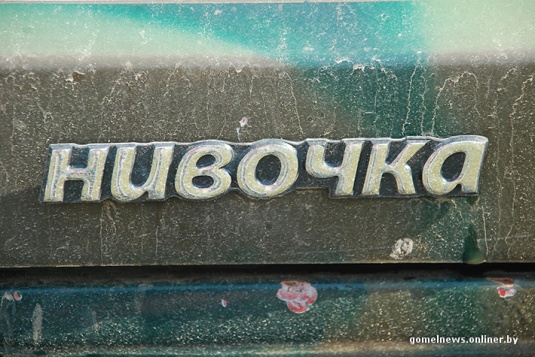 В болотах под Калинковичами внедорожники устроили гонки на выживание (фото)