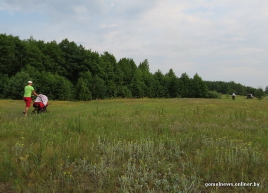 В болотах под Калинковичами внедорожники устроили гонки на выживание (фото)