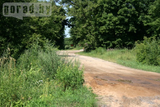 Дорогу к «Агрокомбинату Восход» перегородили из-за африканской чумы