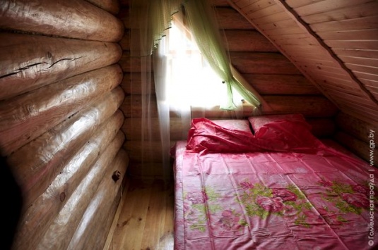 Минчанка Елена Хандецкая переехала жить в Паричи, где строит усадьбу (фото)