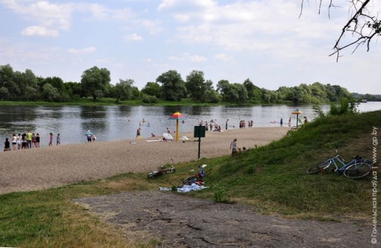 Минчанка Елена Хандецкая переехала жить в Паричи, где строит усадьбу (фото)