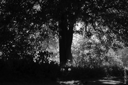 Фотохроника июня—2013. Слуцк