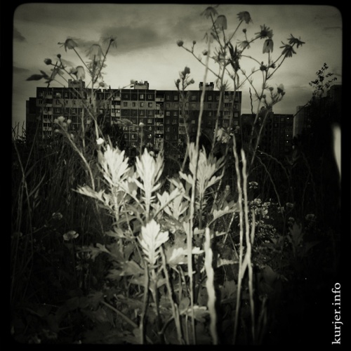 Фотохроника июня—2013. Слуцк