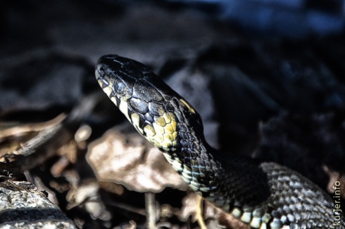 Фотохроника июня—2013. Слуцк