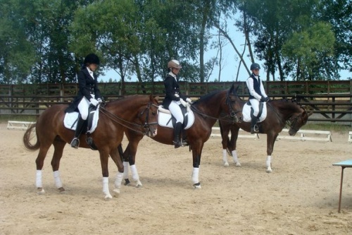 Итоги соревнований по выездке